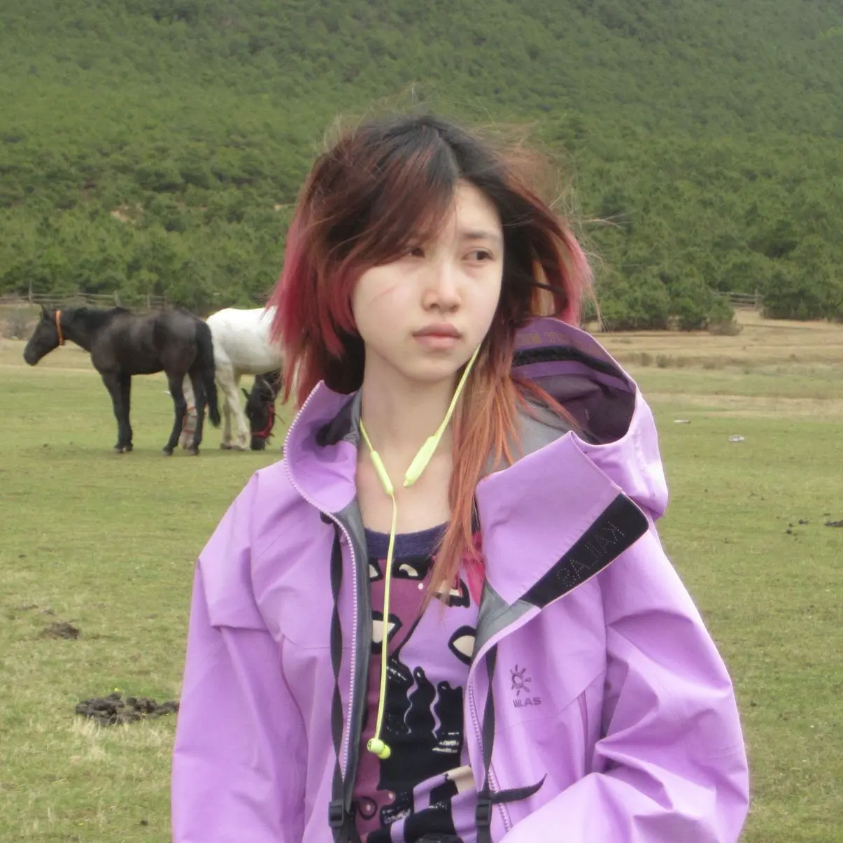 Wendy Liu